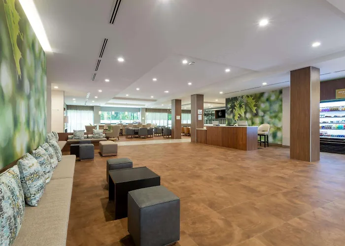 Wyndham Garden Orlando Airport